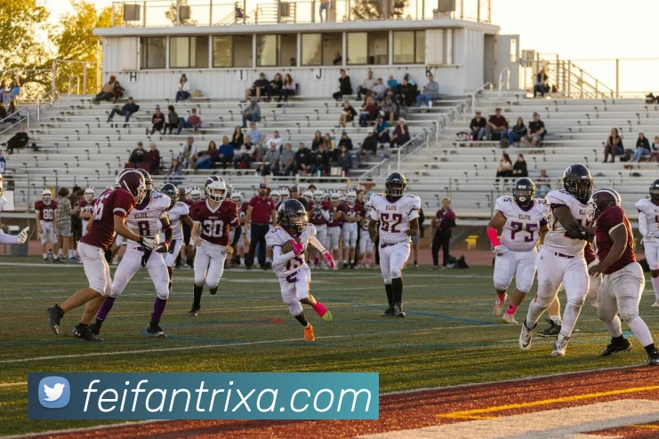 非凡体育APP 封面图